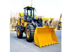 Do you know the applicable scope of Wheel loader?