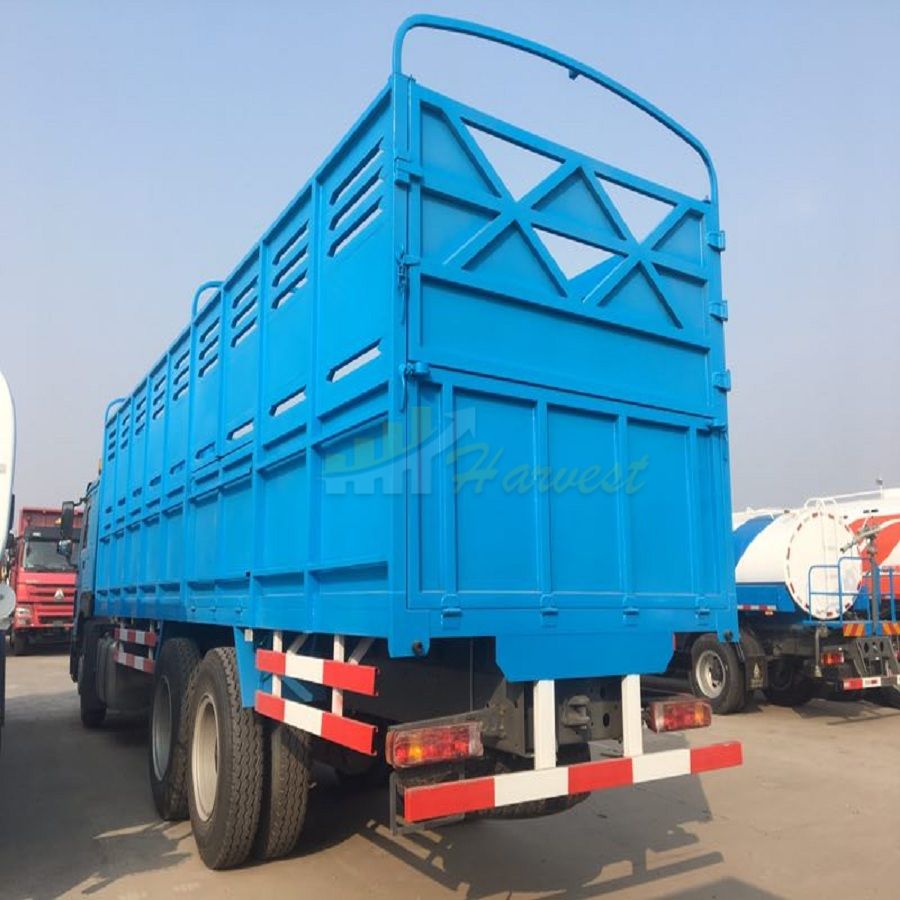Sinotruk Howo Special Cargo Truck for Somalia Djibouti