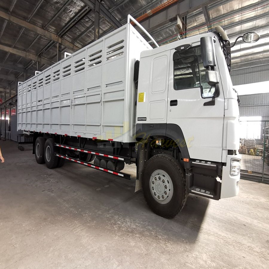 HOWO 6x4 371hp Cargo Truck with 9.75m Box